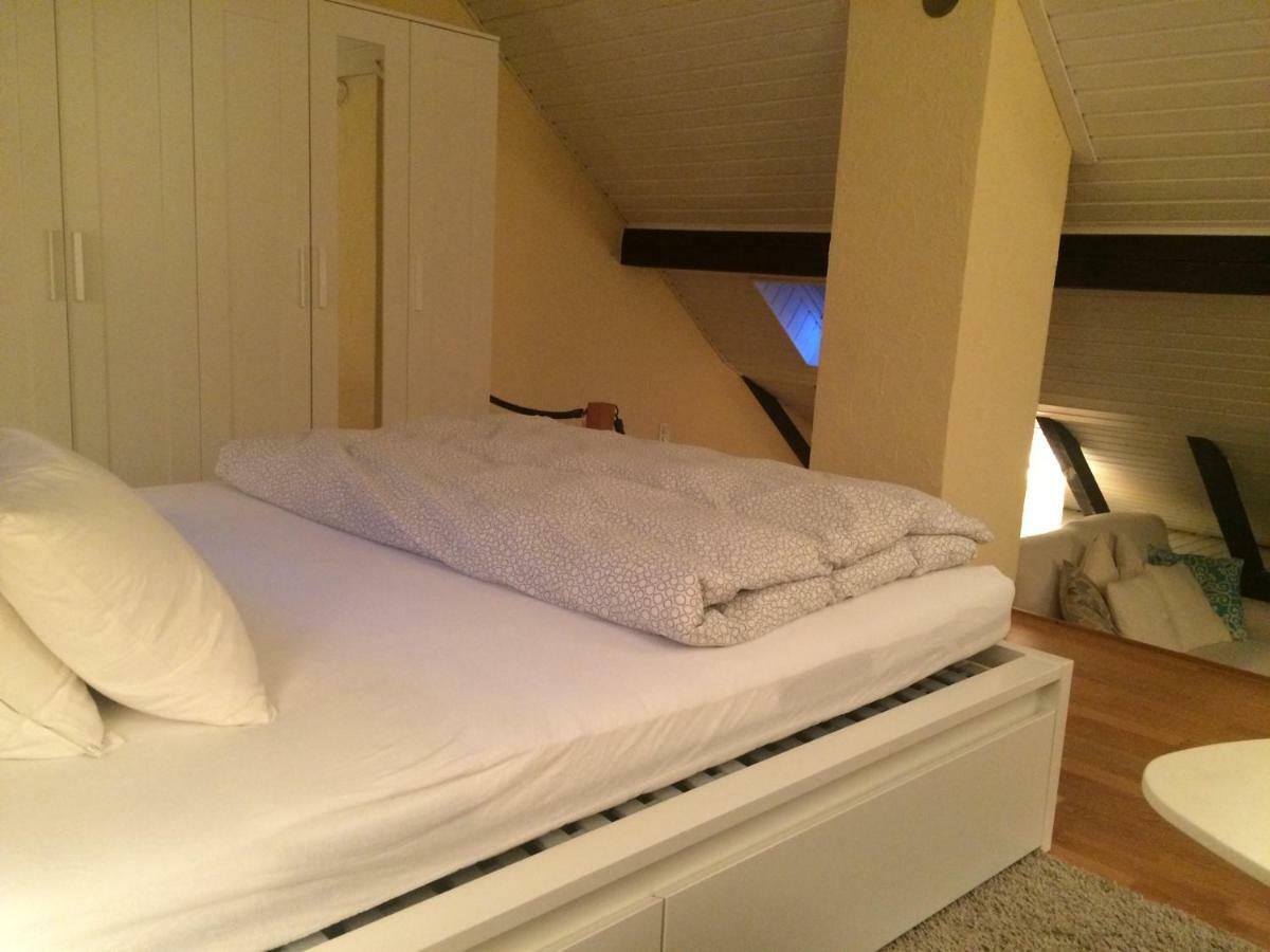 Cozy Attica - With Every Comfort - Berne Liebefeld Exterior photo